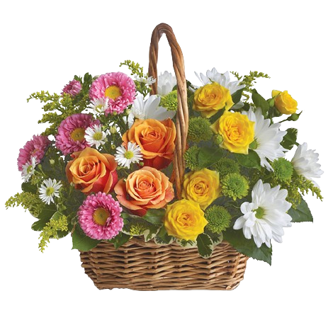 T2132-removebg-preview